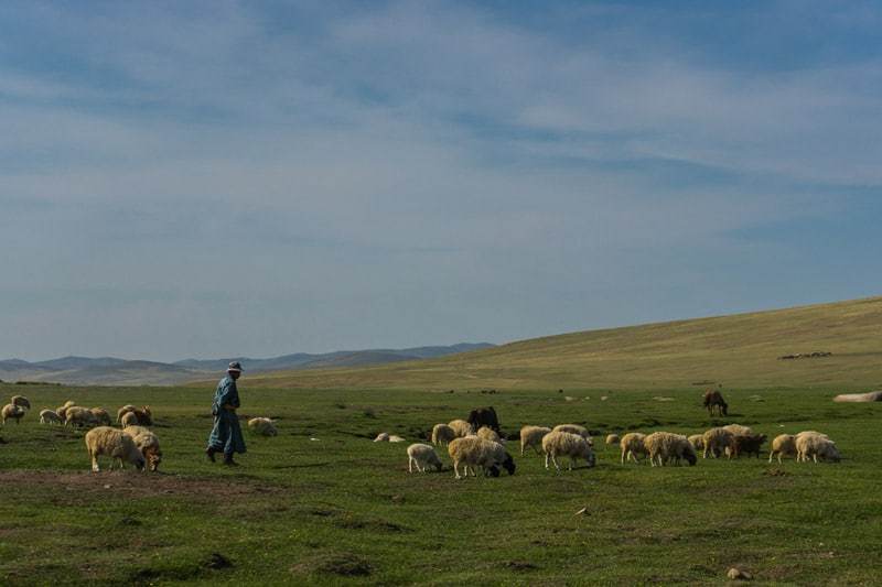 mongolian steppe nomads