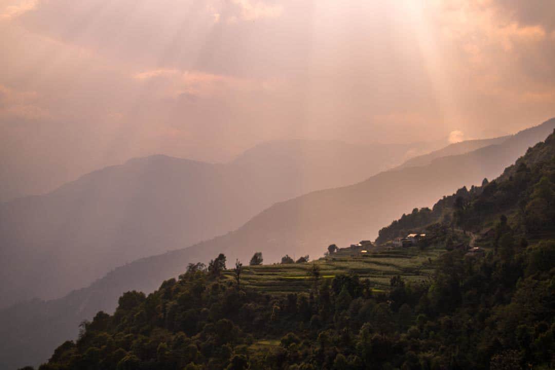 Rice Terraces Sunset Nepal