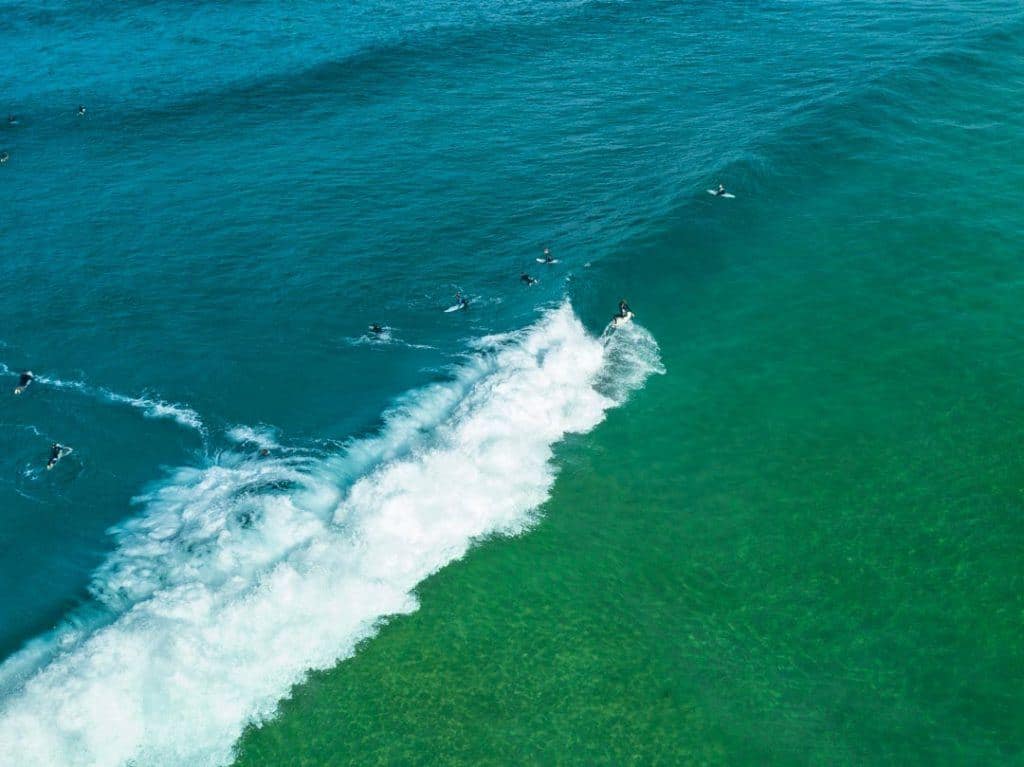 Surfing Winter Sydney