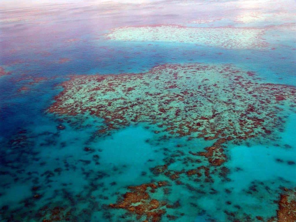 Great Barrier Reef, Things To Do In Cairns