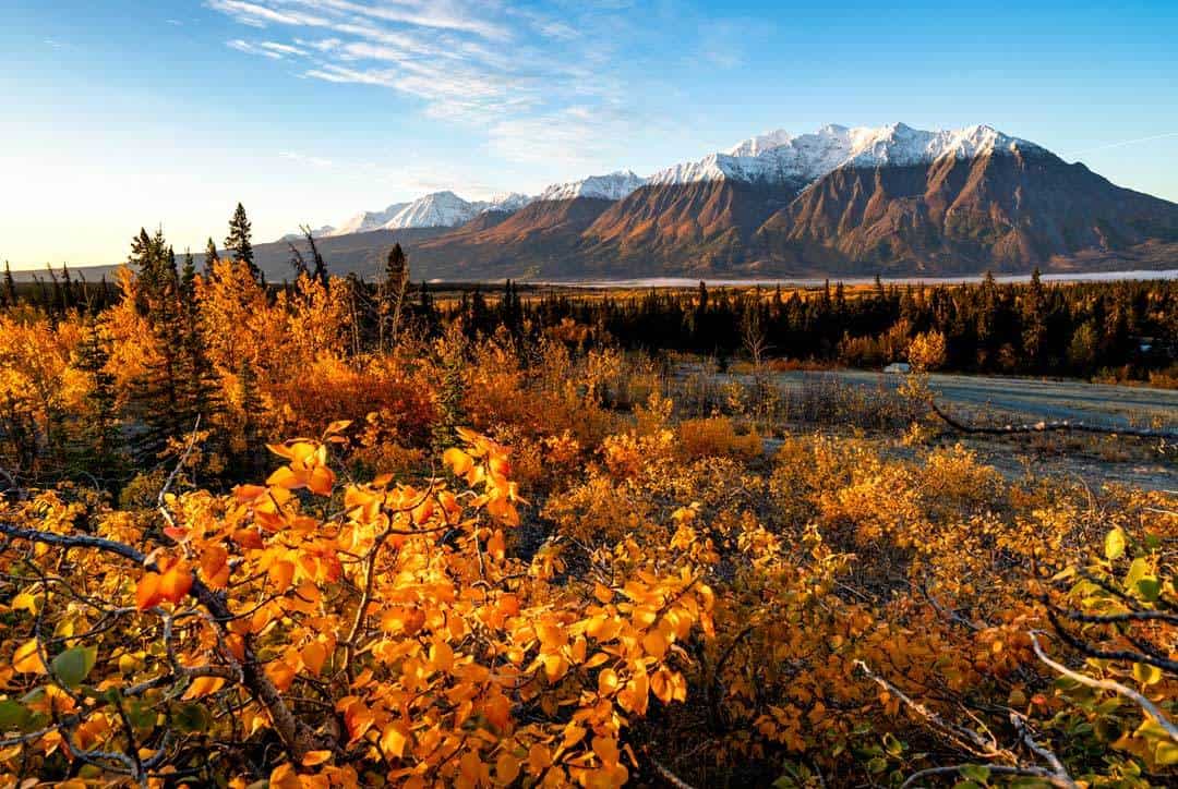 Yukon Road Trip Autumn Colours