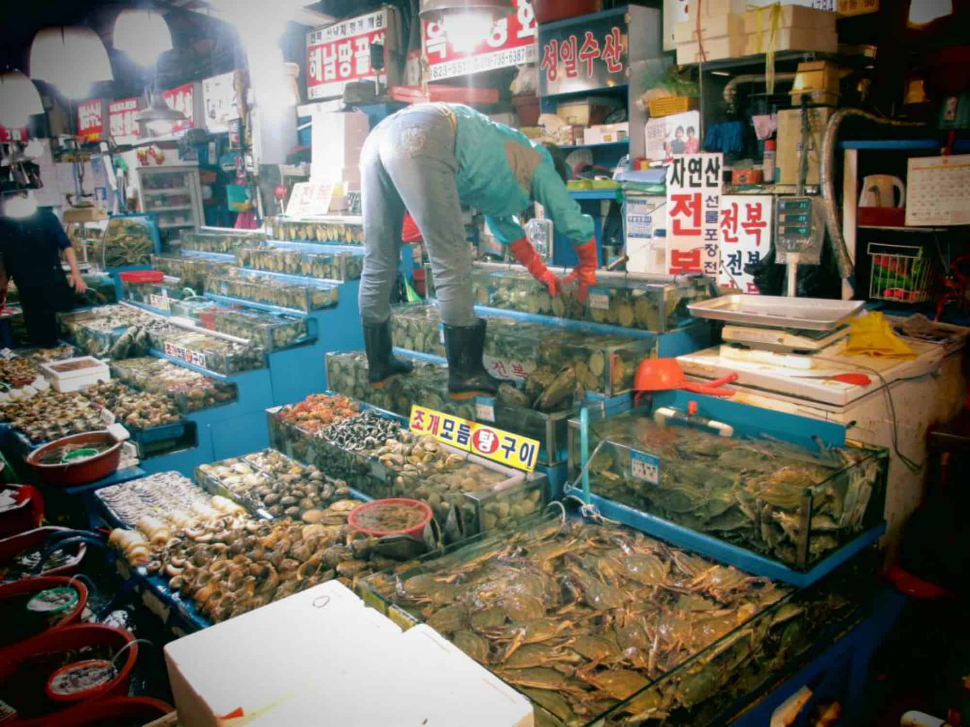 Norangyin Fish Marktet Seoul