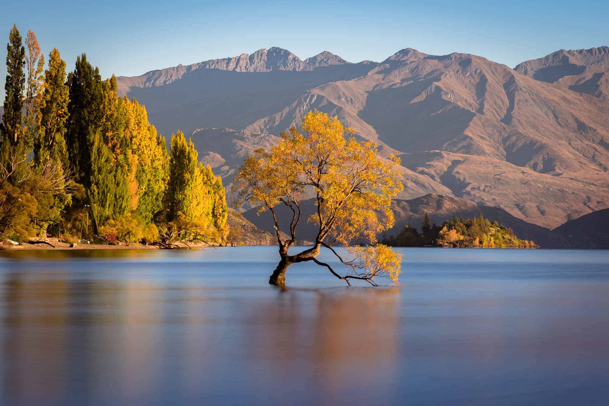 The Ultimate TRAVEL to NEW ZEALAND Guide (2021 Edition)