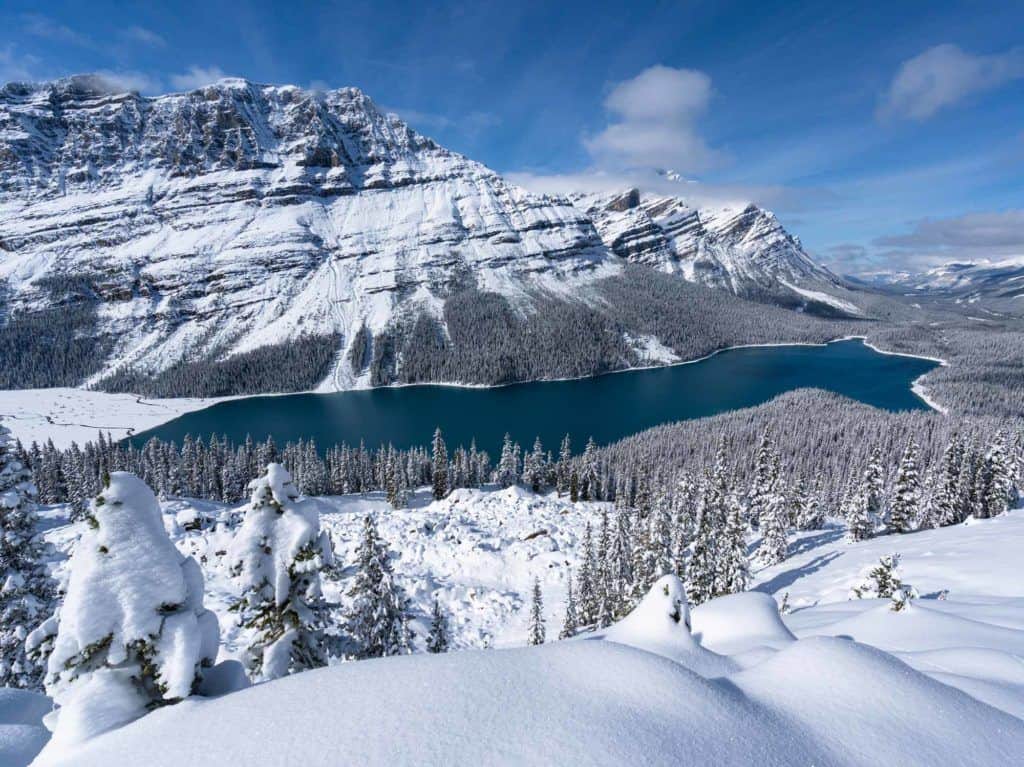 Peyto Lake Travelling In Canada
