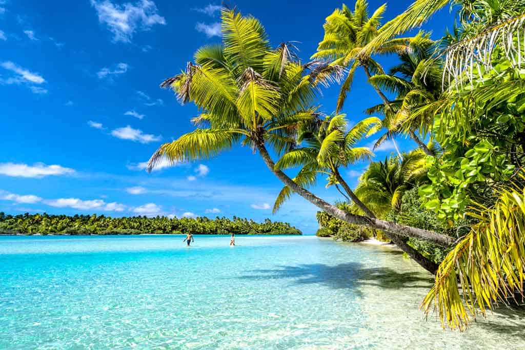Cook Islands Palm Tree Tropical Water Best Travel Camera