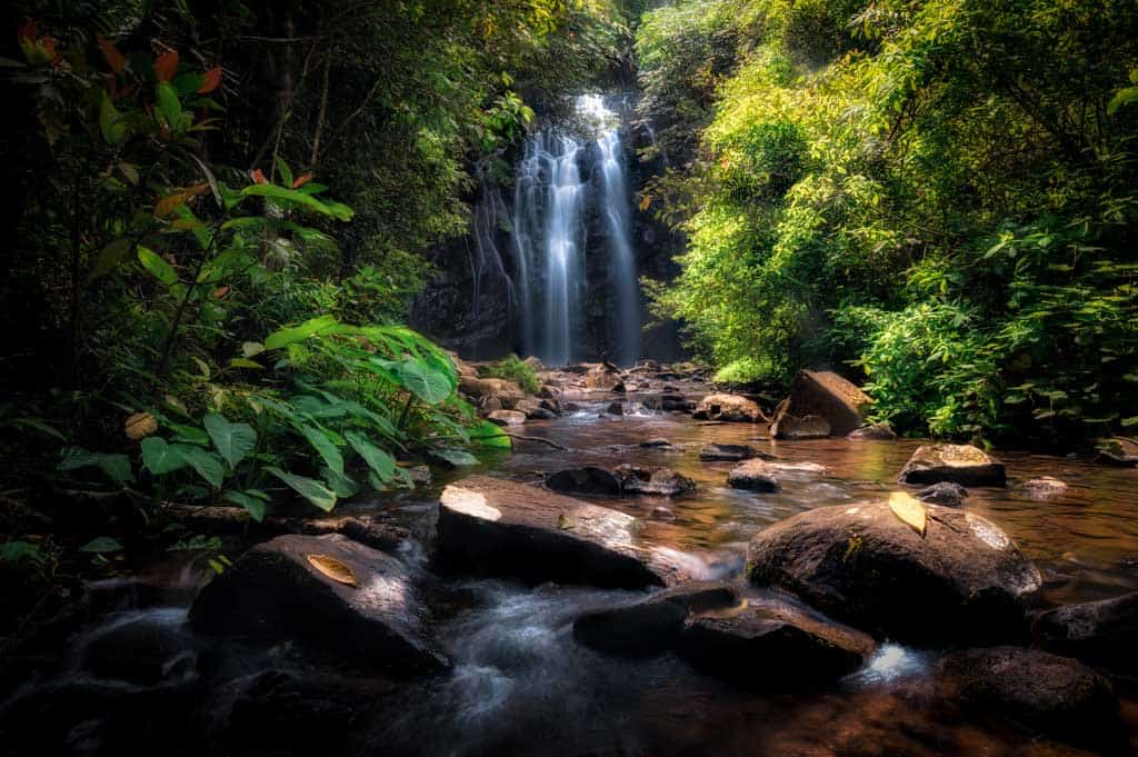 World Heritage Rainforest Waterfall Experience by Cairns Waterfalls - Klook  Canada
