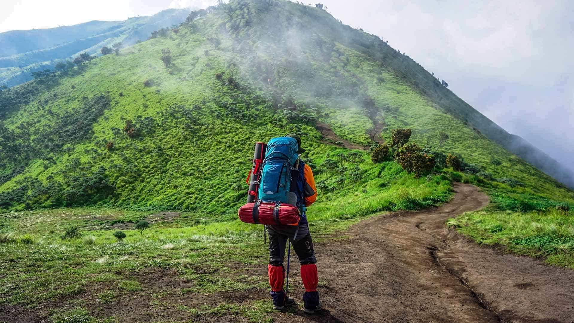 16 Best Travel Backpacks for Day Trips, Outdoor Adventures