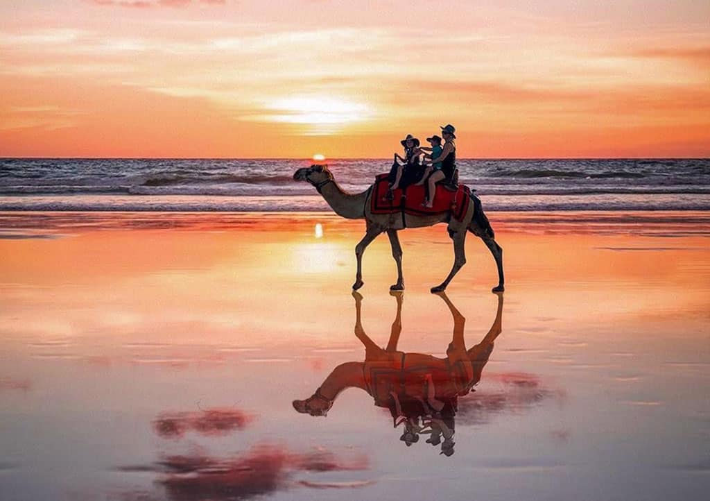 Camel Riding In Broome