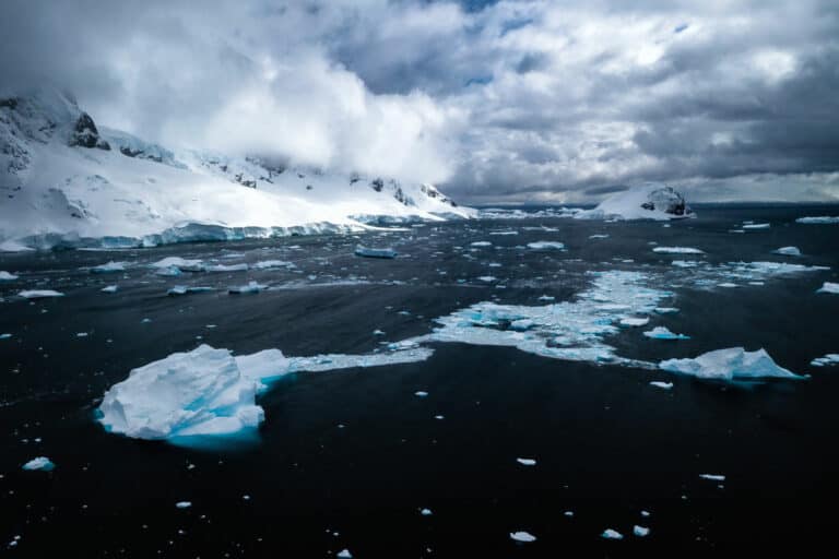 Icebergs In Danco Island Drone 768x512 