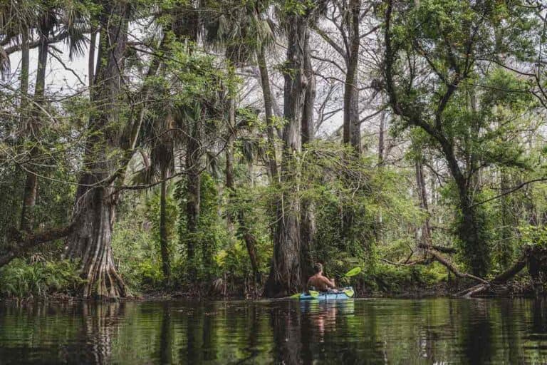 Kayaking Florida 768x512 